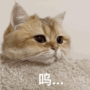 欧美猛男大鸡巴性爱
