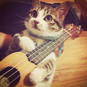 欧美猛男大鸡巴性爱
